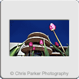 Landscapes» DeLaWarrBexhill.gif