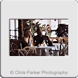 Lifestyle» Couple dining.gif