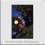 Lifestyle» Horseriding Cobham Manor K.gif