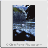 Lifestyle» Trout Fishing.gif