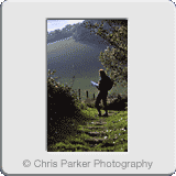 Lifestyle» Walker 3.gif