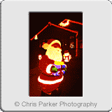 Miscellaneous» XmasLights019.gif