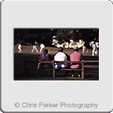 People» Cricket spectators.gif