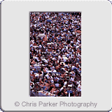 People» Crowd at concert 2.gif