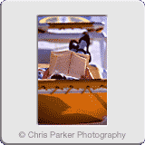 Tourism» Holiday read 01.gif