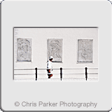 Tourism» Worthing Pier2.gif