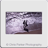 Tourism» Young couple on beach.gif